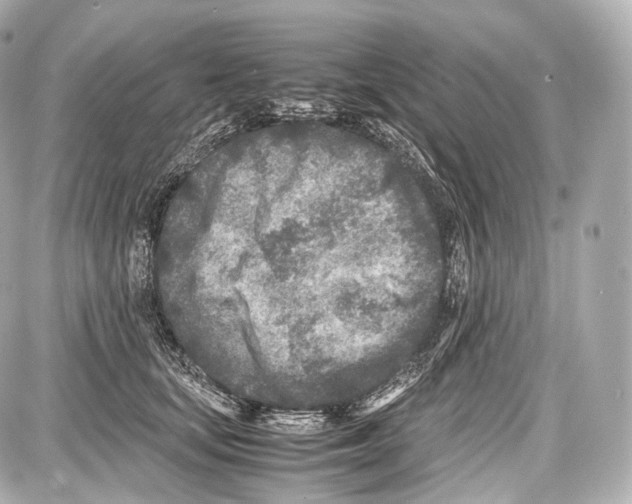 X0000086960659200705141627