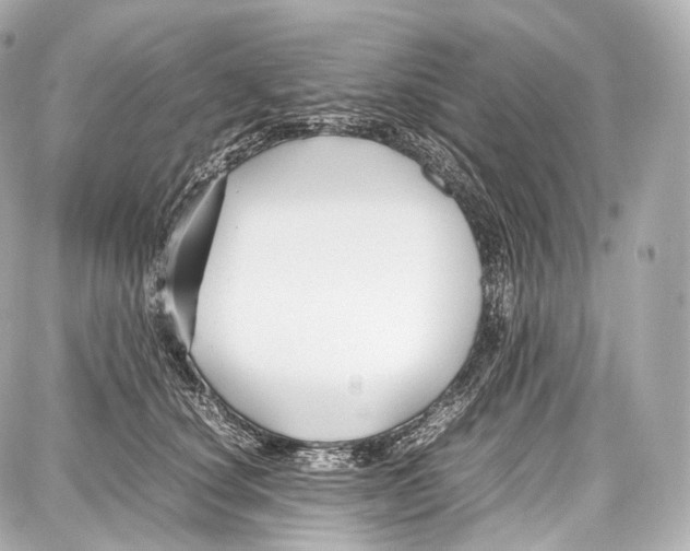 X0000086960660200705141627