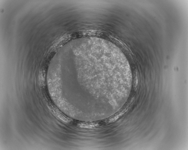 X0000086960661200705141627