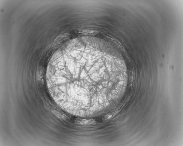 X0000086960663200705141627