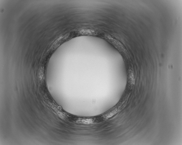 X0000086960665200705141627