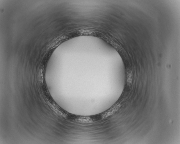 X0000086960666200705141627