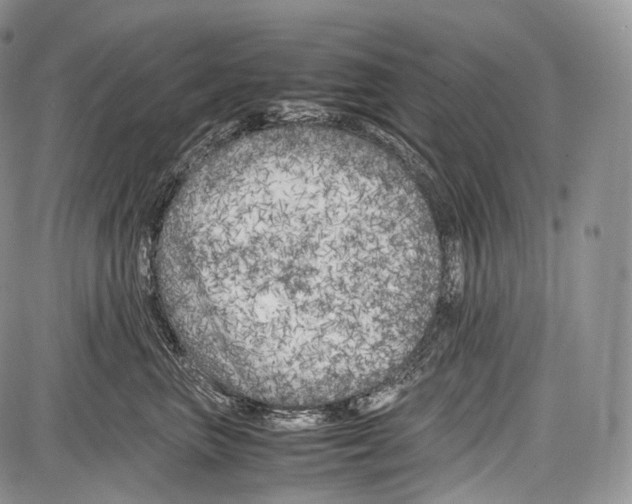 X0000086960667200705141627