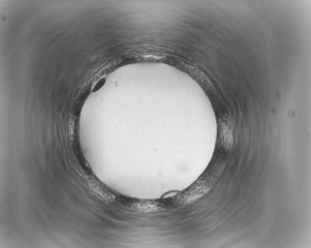 X0000086960668200705141627