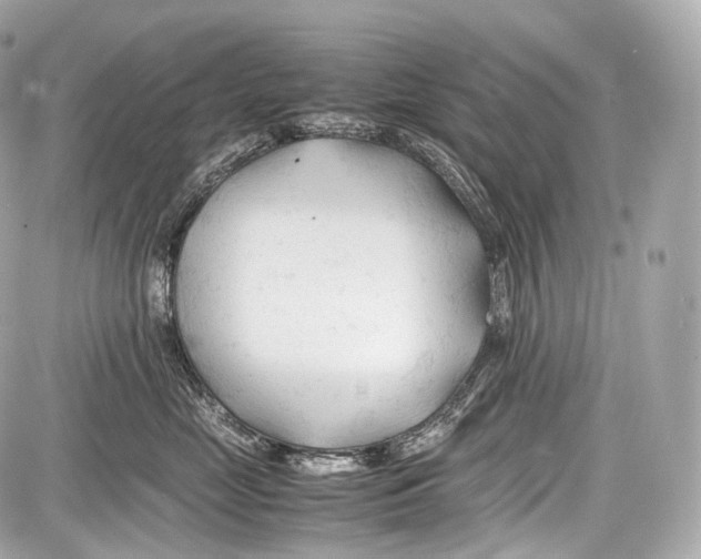 X0000086960669200705141627