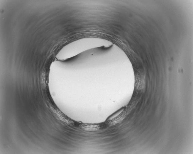 X0000086960670200705141627