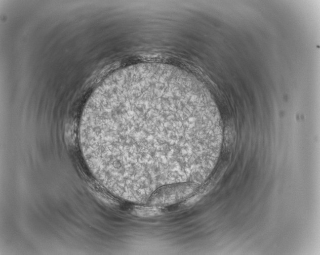 X0000086960671200705141627