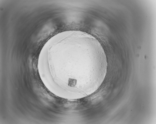 X0000086960672200705141627