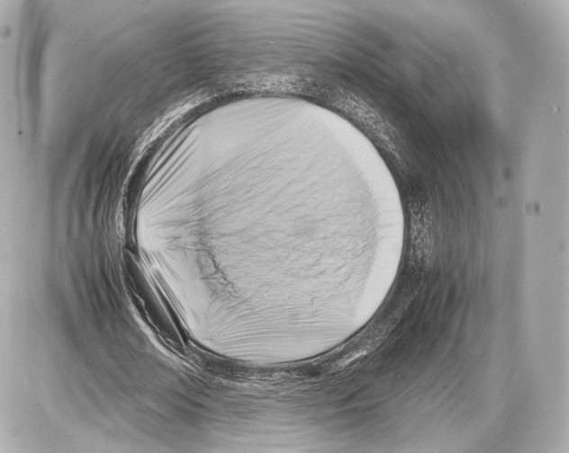 X0000086960674200705141626