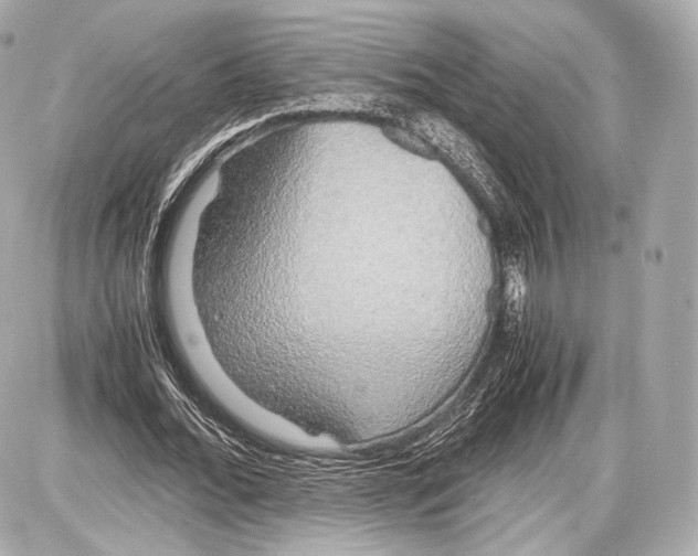 X0000086960676200705141626