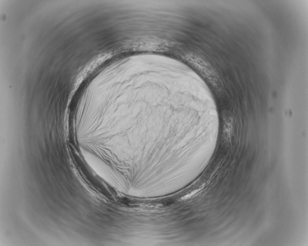 X0000086960678200705141626