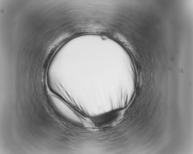 X0000086960679200705141626