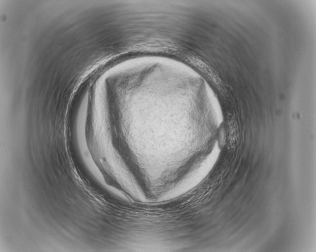 X0000086960680200705141626