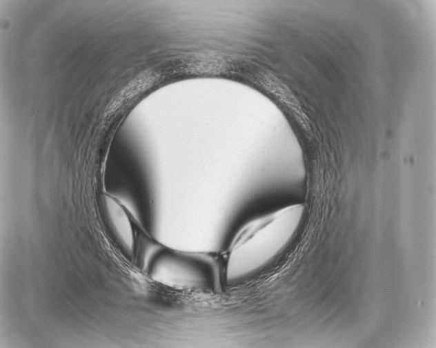 X0000086960681200705141626