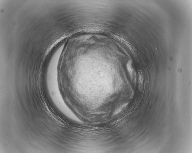 X0000086960684200705141626