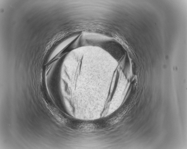 X0000086960685200705141626