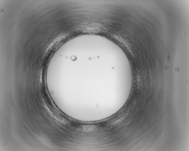 X0000086960686200705141626