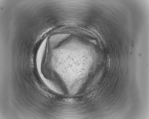 X0000086960688200705141626
