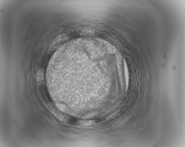 X0000086960711200705141626