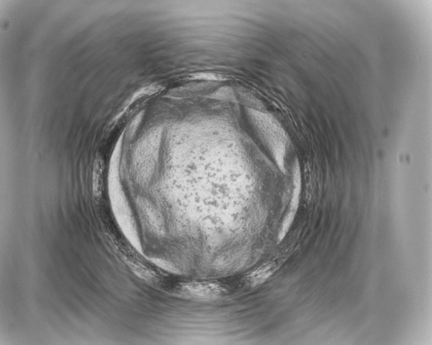 X0000086960712200705141626