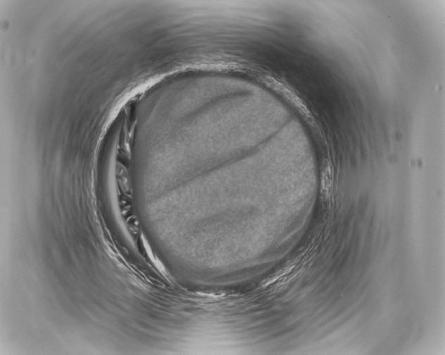 X0000086960724200705141625