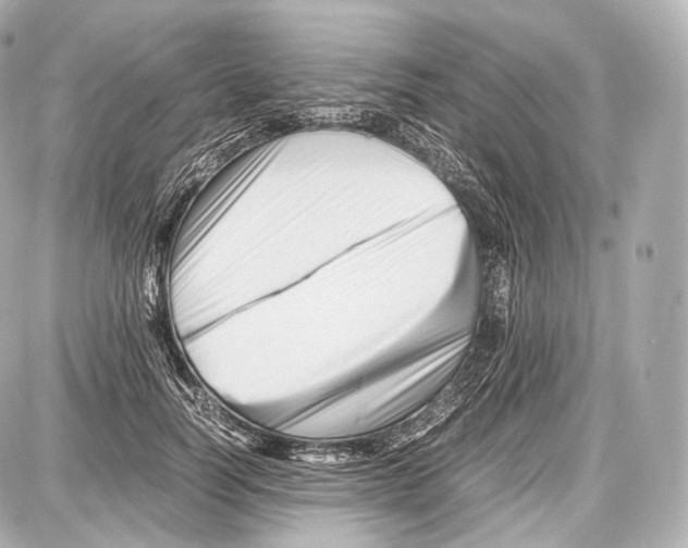 X0000086960746200705141625