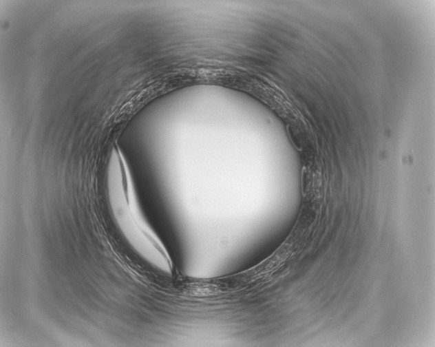 X0000086960750200705141625