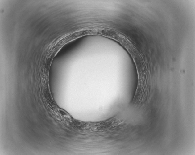 X0000086960773200705141625