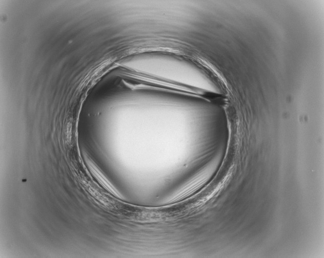 X0000086960777200705141625