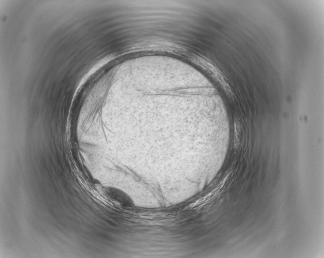 X0000086960780200705141625