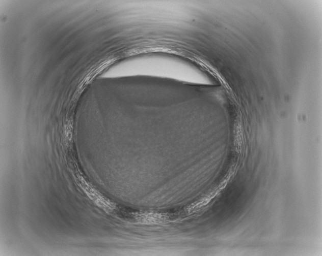 X0000086960785200705141625