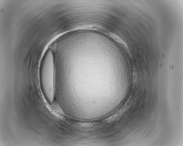 X0000086960792200705141624