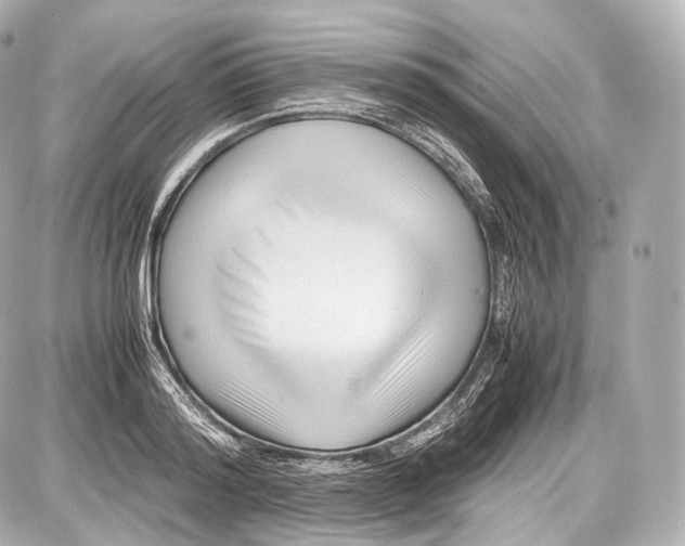 X0000086960796200705141624