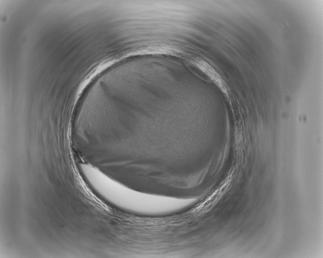 X0000086960797200705141624