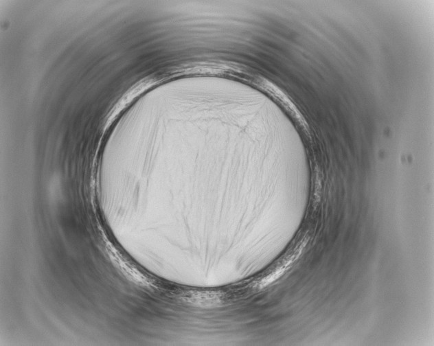 X0000086960802200705141624