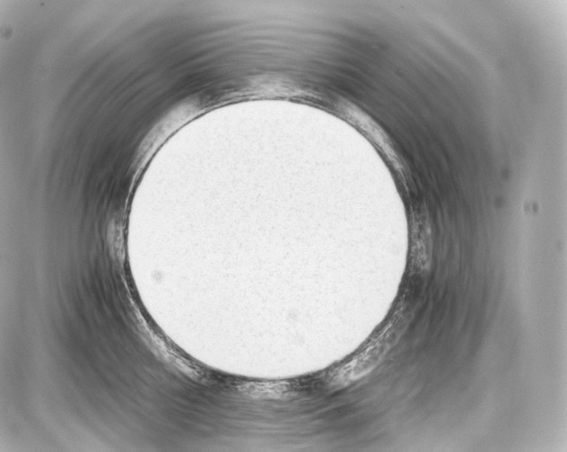 X0000086960810200705141624