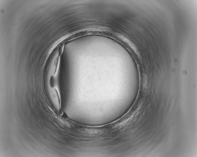 X0000086960829200705141623