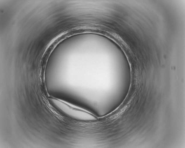 X0000086960830200705141624