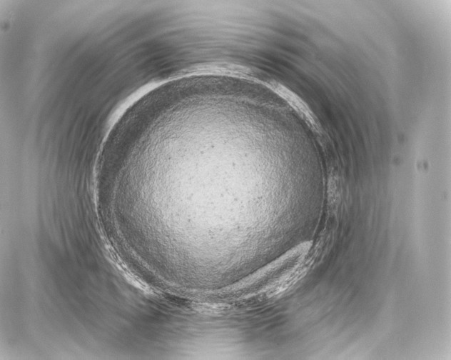 X0000086960854200705141624