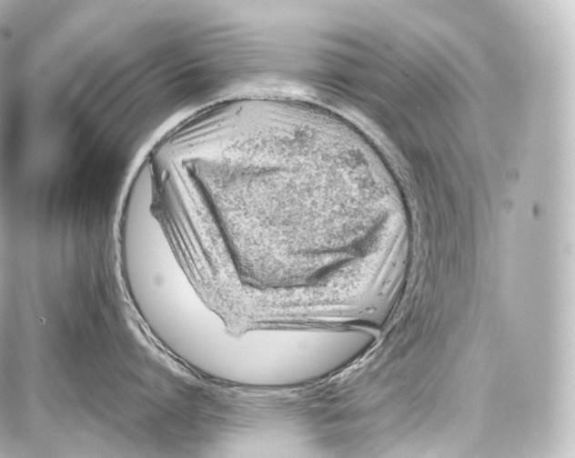 X0000086960864200705141624