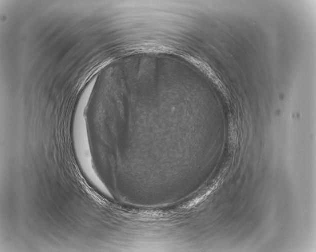 X0000086960889200705141623