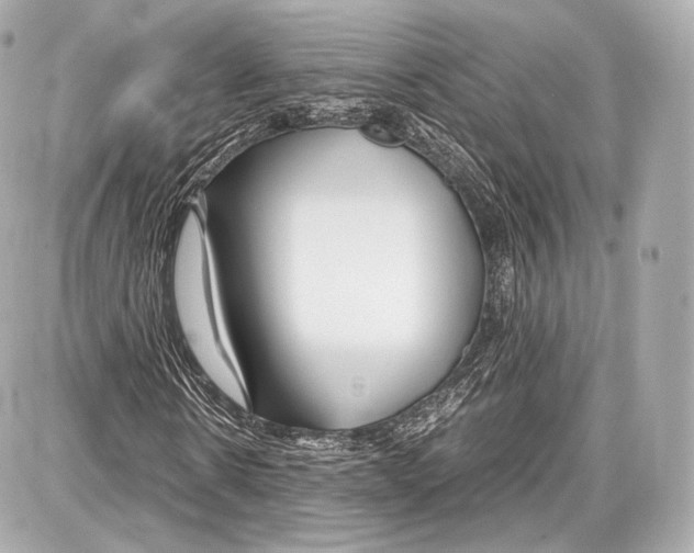 X0000086960914200705141622