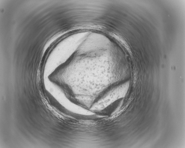 X0000086960928200705141622