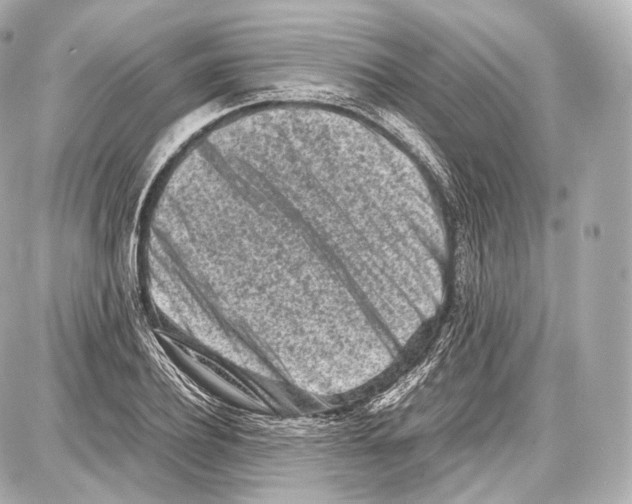 X0000086960932200705141622