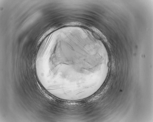 X0000086960945200705141622