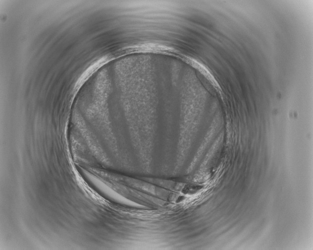X0000086960946200705141622