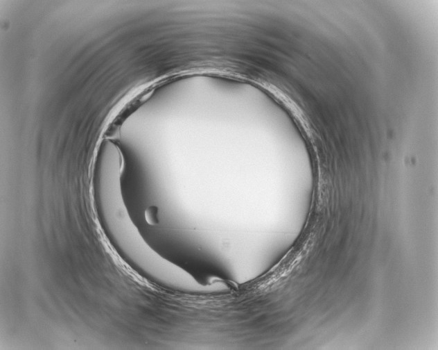 X0000086960949200705141622