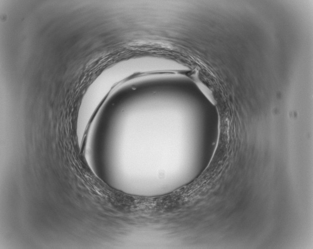 X0000086960965200705141622