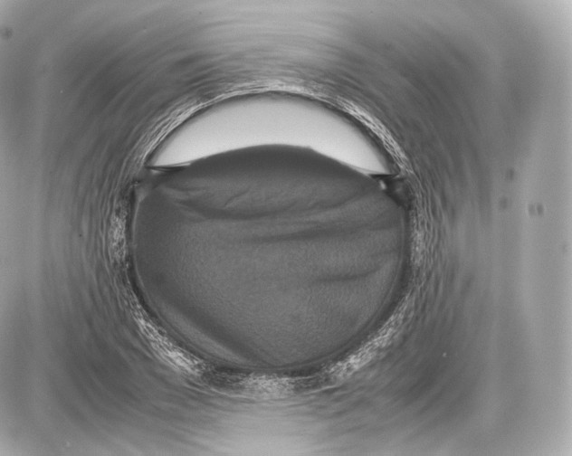 X0000086960977200705141621