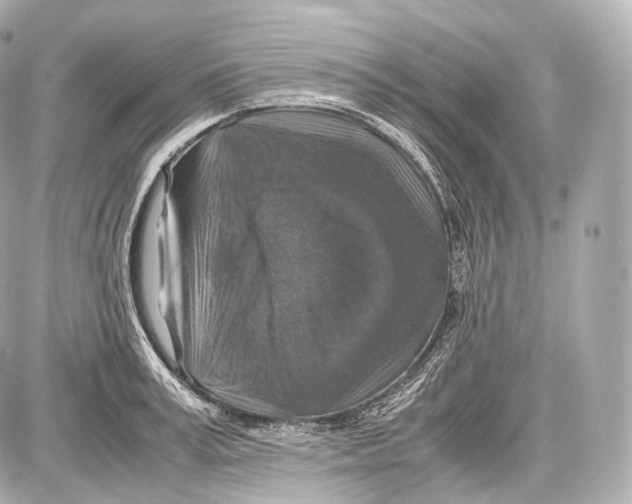 X0000086960995200705141621